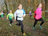 2017-11-26 ARWB Cross Standdaarbuiten - 039